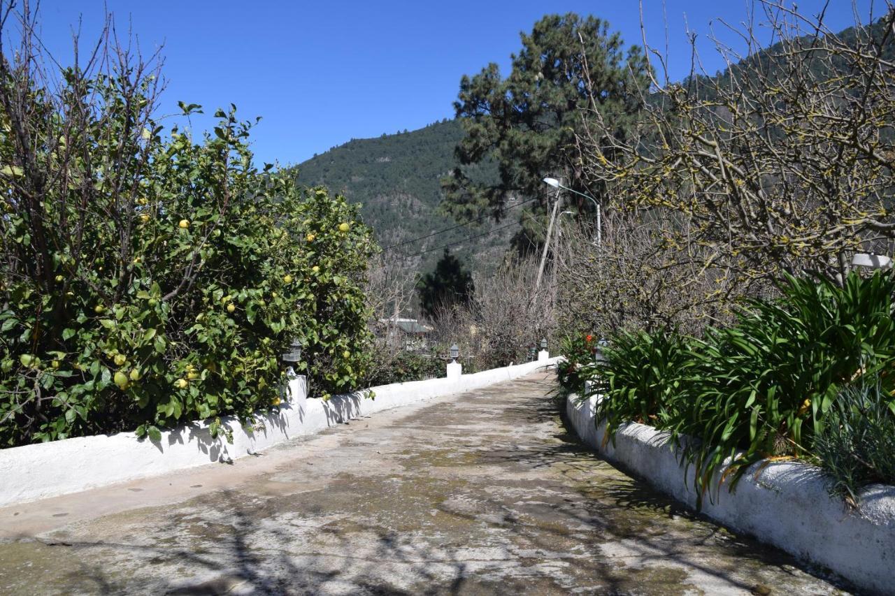 Casa Rural Juli Santa Cruz de Tenerife Bagian luar foto